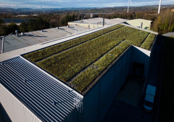Wallbarn green roof supports green infrastructure specification