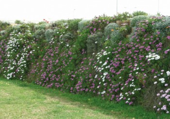 Dry-Build Solutions for earth retention or noise absorption.