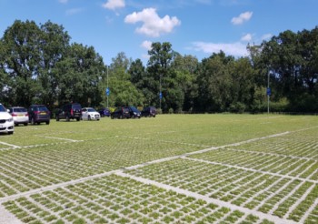 Greener Car Parking