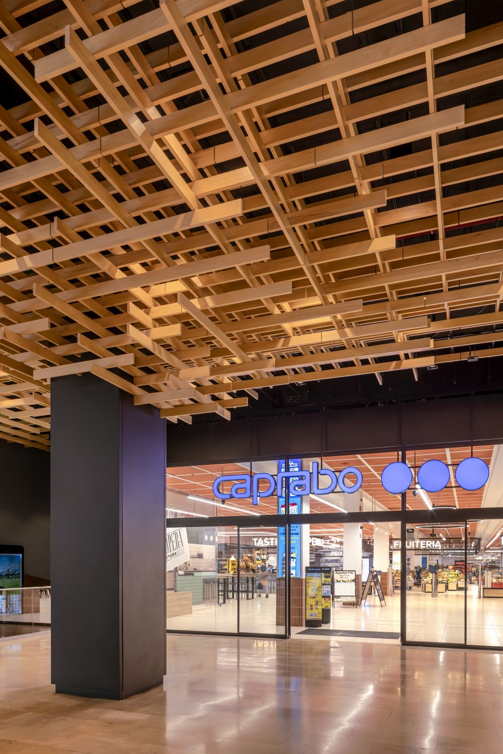 Pxs Building Multilayer CombiLine Ceiling Transforms Illa Diagonal’s Interior ...