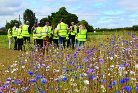 £4.5m investment shapes UK’s industry-leading seed facility at DLF