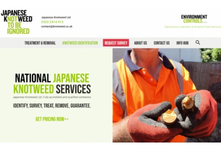 Japanese Knotweed Ltd celebrates 15 years of invasive weed management