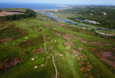 Stopping Dollar Spot in Its Tracks: Southerndown’s Success with Maxtima