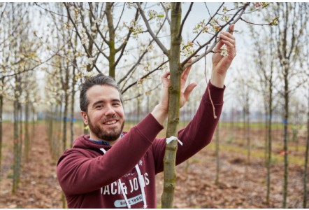 Wyevale Nurseries &lsquo;Original Select&rsquo; range grown to foster resilient native tree planting
